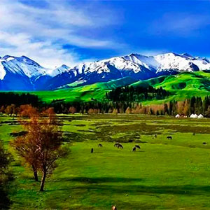 新疆辣椒游旅行