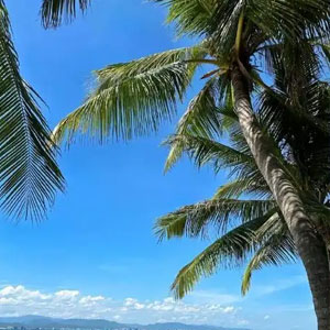 海南辣椒游旅行