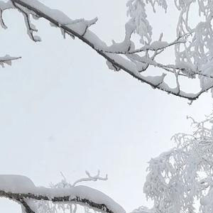 长白山辣椒游旅行